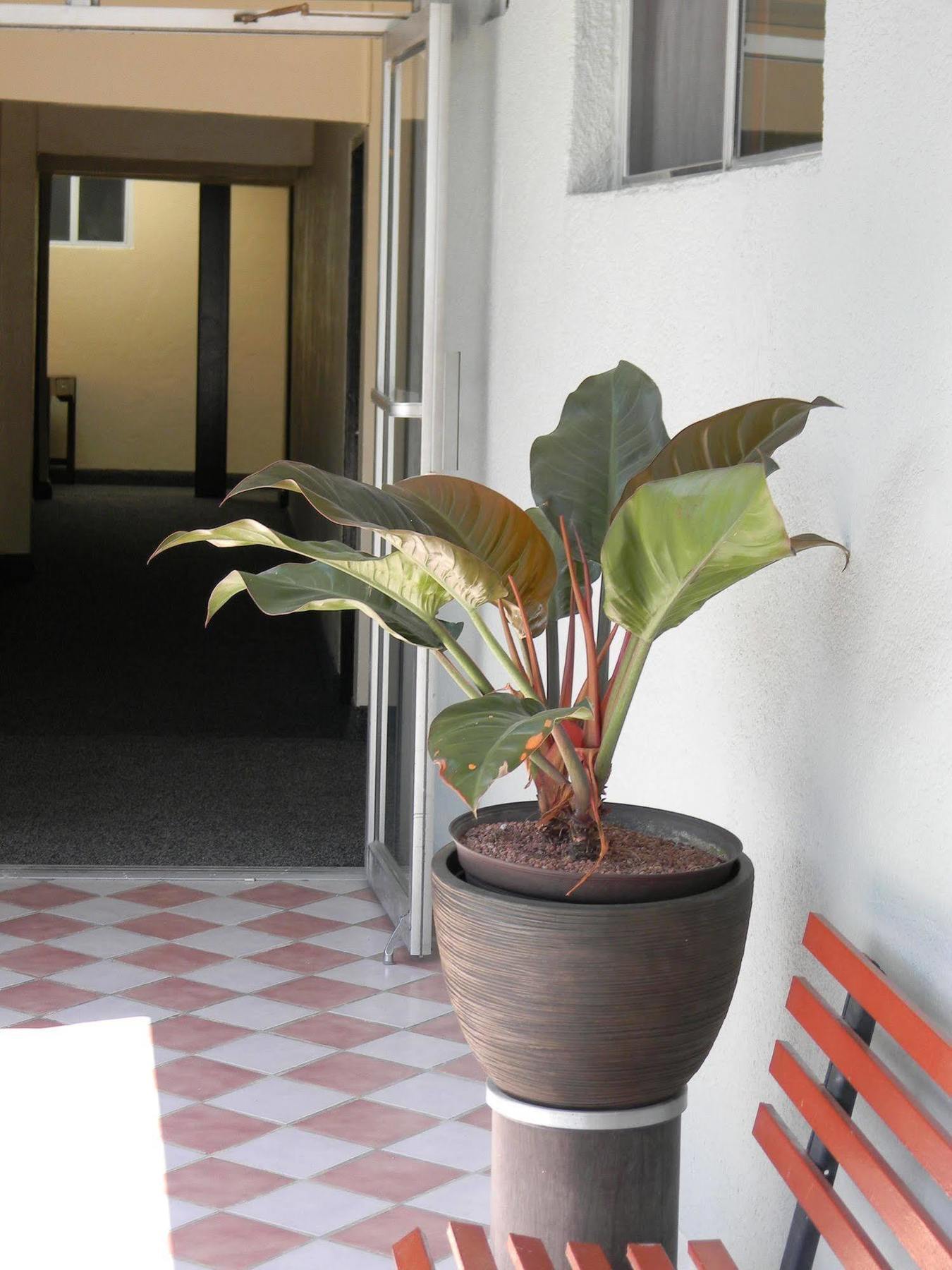 Hotel Plaza Hermosa Tijuana Extérieur photo